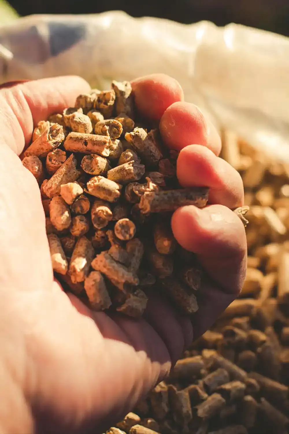Pellets